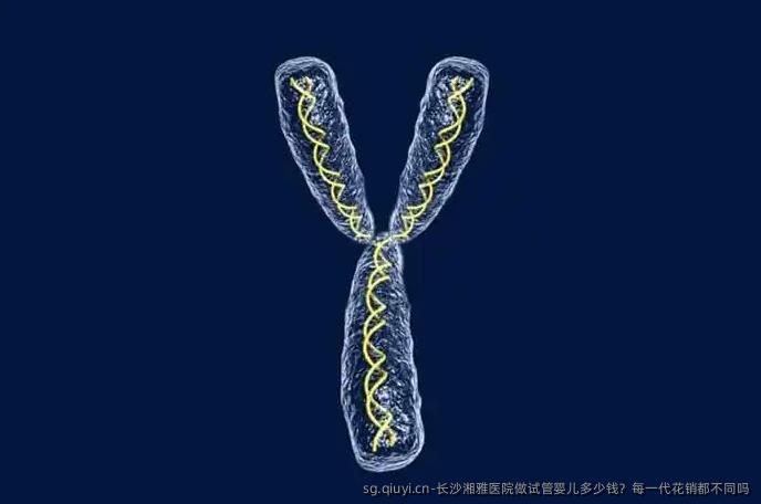 长沙湘雅医院做试管婴儿多少钱？每一代花销都不同吗
