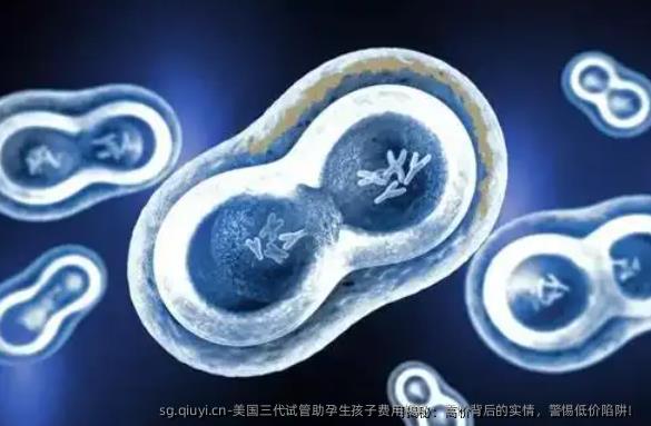 美国三代试管助孕生孩子费用揭秘：高价背后的实情，警惕低价陷阱！
