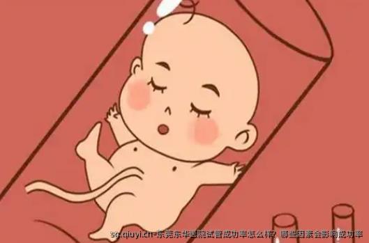 东莞东华医院试管成功率怎么样？哪些因素会影响成功率