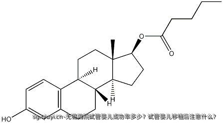 无锡四院试管婴儿成功率多少？试管婴儿移植后注意什么？
