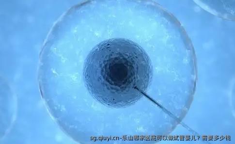 乐山哪家医院可以做试管婴儿？需要多少钱