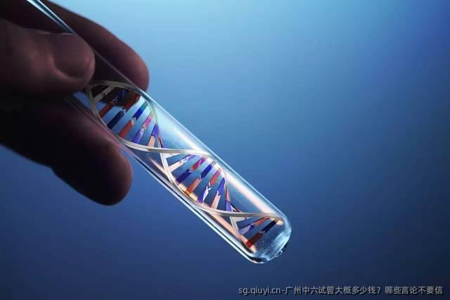 广州中六试管大概多少钱？哪些言论不要信
