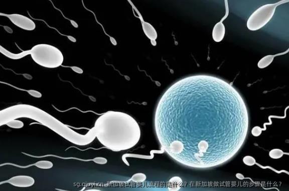 新加坡试管婴儿流程的是什么？在新加坡做试管婴儿的步骤是什么？