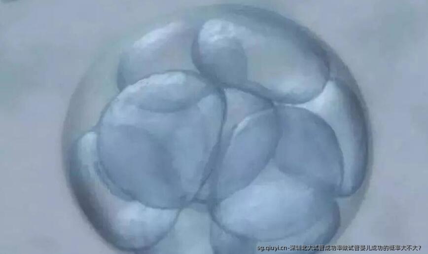 深圳北大试管成功率做试管婴儿成功的概率大不大？
