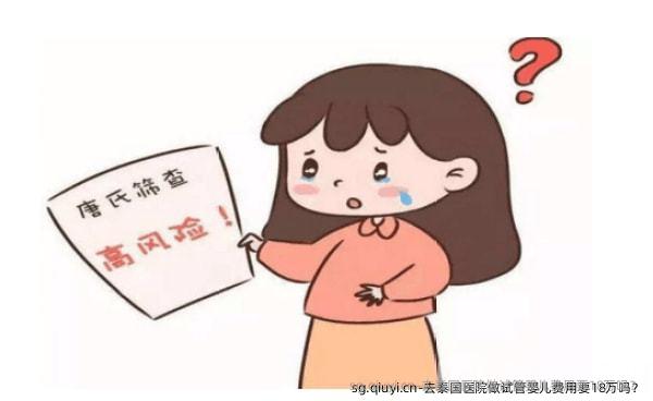 去泰国医院做试管婴儿费用要18万吗？