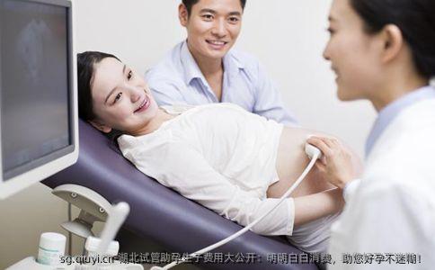湖北试管助孕生子费用大公开：明明白白消费，助您好孕不迷糊！