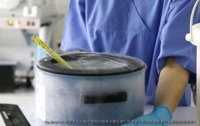 试管婴儿过程中卵泡内膜多少算正常？试管婴儿胚胎移植需要什么样的内膜条件？