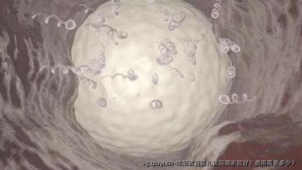 绵阳试管婴儿医院哪家较好？费用需要多少？