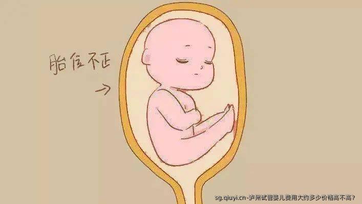泸州试管婴儿费用大约多少价格高不高？