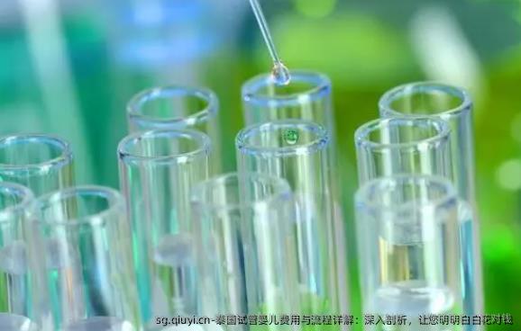 泰国试管婴儿费用与流程详解：深入剖析，让您明明白白花对钱