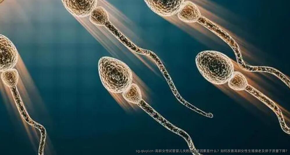 高龄女性试管婴儿失败的主要因素是什么？如何改善高龄女性生殖衰老及卵子质量下降?