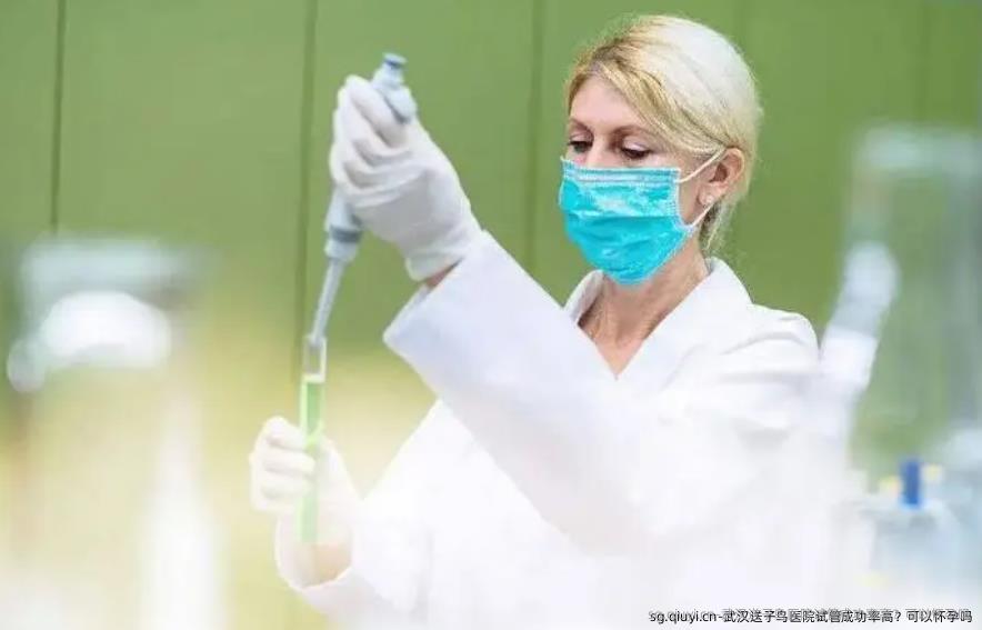武汉送子鸟医院试管成功率高？可以怀孕吗