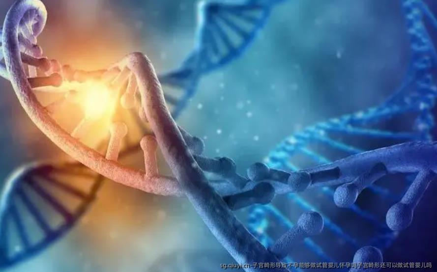 子宫畸形导致不孕能够做试管婴儿怀孕吗子宫畸形还可以做试管婴儿吗