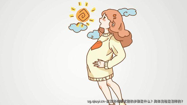 武汉协和做试管的步骤是什么？具体流程是怎样的？