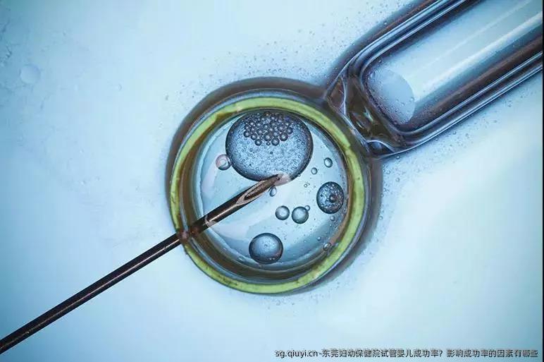 东莞妇幼保健院试管婴儿成功率？影响成功率的因素有哪些
