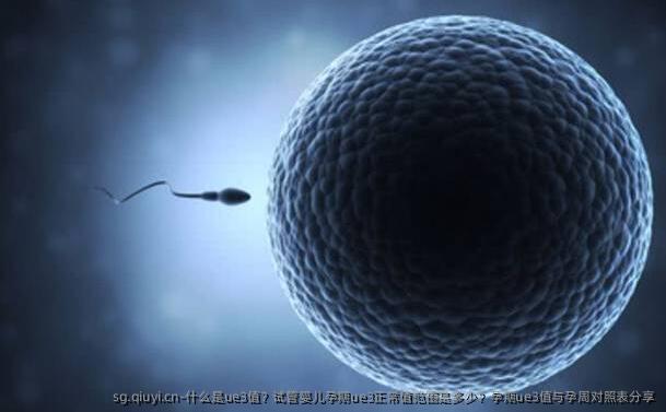 什么是ue3值？试管婴儿孕期ue3正常值范围是多少？孕期ue3值与孕周对照表分享