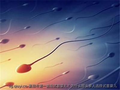 襄阳市第一医院试管婴儿？为什么那么多人选择试管婴儿