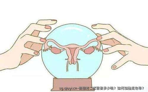衡阳附二试管要多少钱？如何加强成功率？