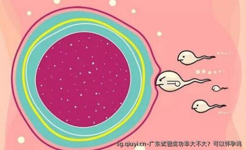 广东试管成功率大不大？可以怀孕吗