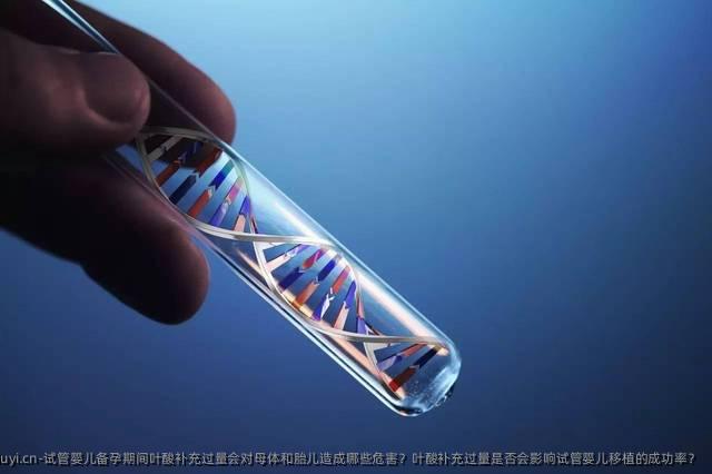 试管婴儿备孕期间叶酸补充过量会对母体和胎儿造成哪些危害？叶酸补充过量是否会影响试管婴儿移植的成功率？