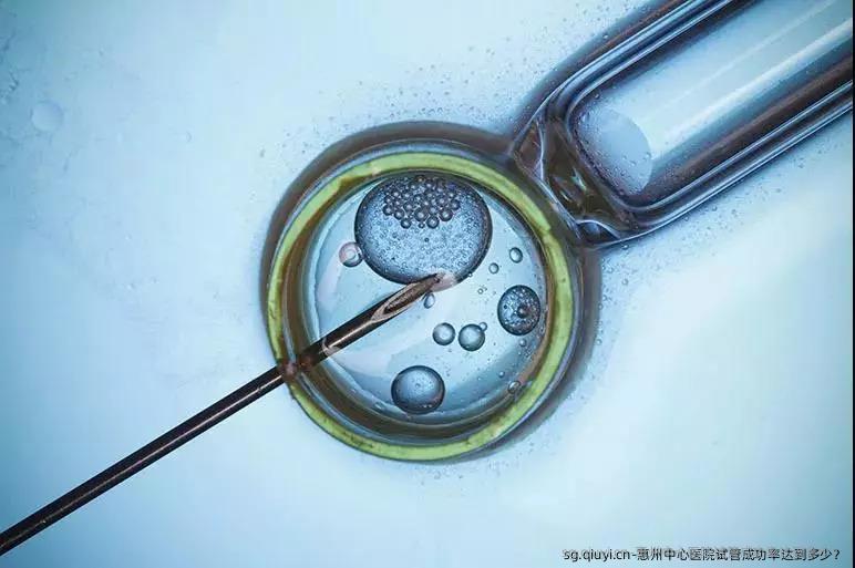 惠州中心医院试管成功率达到多少？