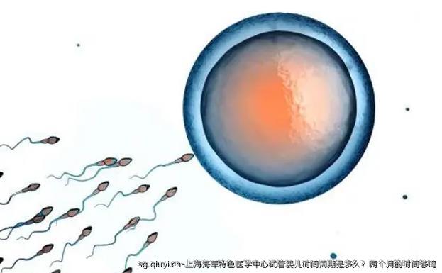 上海海军特色医学中心试管婴儿时间周期是多久？两个月的时间够吗