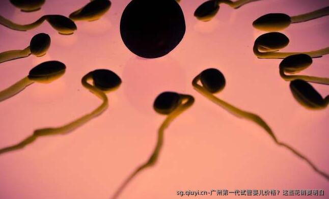 广州第一代试管婴儿价格？这些花销要明白
