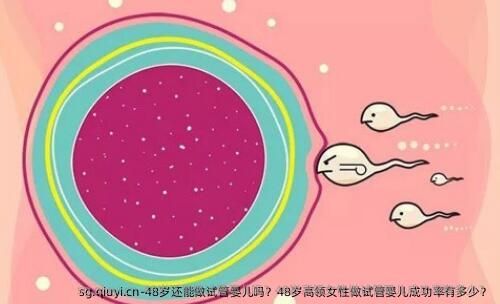 48岁还能做试管婴儿吗？48岁高领女性做试管婴儿成功率有多少？