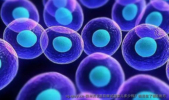 扬州苏北医院做试管婴儿多少钱？钱花在了哪些地方