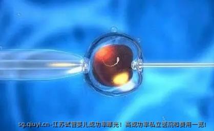 江苏试管婴儿成功率曝光！高成功率私立医院和费用一览！