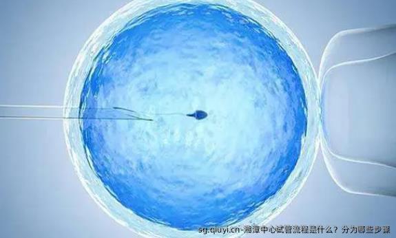 湘潭中心试管流程是什么？分为哪些步骤