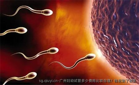 广州妇幼试管多少费用比较合理？钱花到了哪里