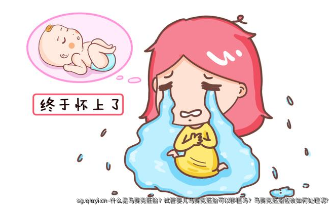 什么是马赛克胚胎？试管婴儿马赛克胚胎可以移植吗？马赛克胚胎应该如何处理呢?