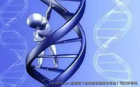 成都哪个医院做试管成功率高？可以怀孕吗
