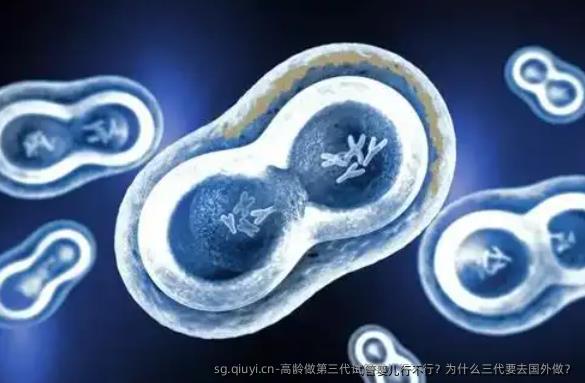 高龄做第三代试管婴儿行不行？为什么三代要去国外做？