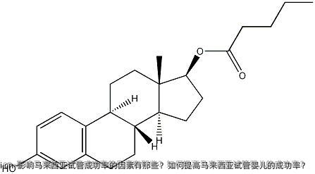 影响马来西亚试管成功率的因素有那些？如何提高马来西亚试管婴儿的成功率？