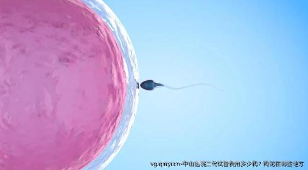 中山医院三代试管费用多少钱？钱花在哪些地方