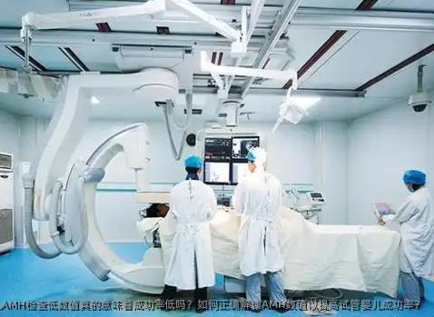试管婴儿AMH检查低数值真的意味着成功率低吗？如何正确解读AMH数值以提高试管婴儿成功率？