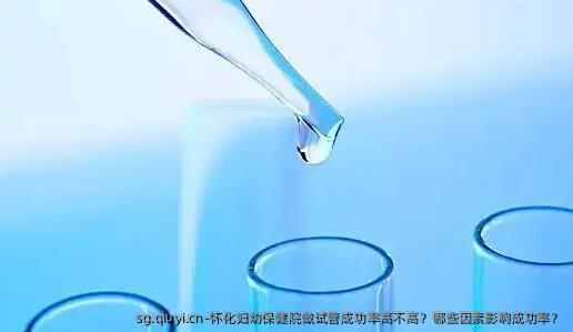 怀化妇幼保健院做试管成功率高不高？哪些因素影响成功率？