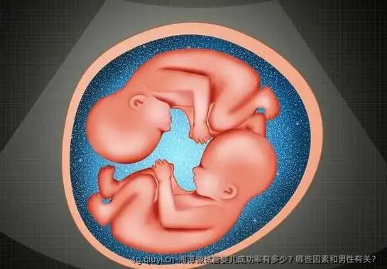 湘潭做试管婴儿成功率有多少？哪些因素和男性有关？