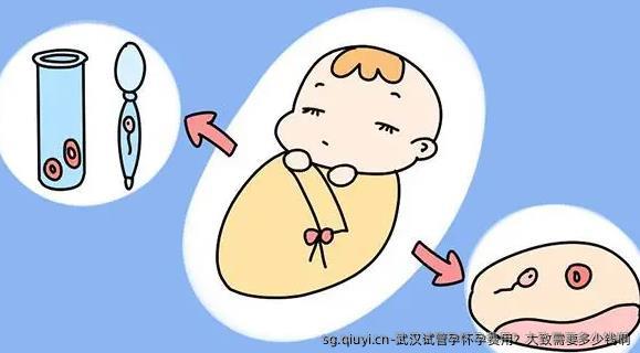 武汉试管孕怀孕费用？大致需要多少钱啊