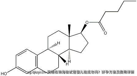 死精在珠海做试管婴儿能成功吗？好孕方案及费用详解