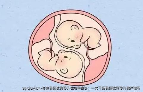 关注泰国试管婴儿成功率统计：一文了解泰国试管婴儿操作流程