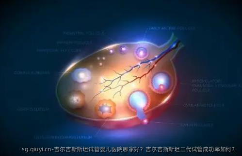 吉尔吉斯斯坦试管婴儿医院哪家好？吉尔吉斯斯坦三代试管成功率如何？