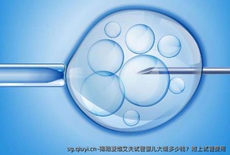 揭阳爱维艾夫试管婴儿大概多少钱？附上试管费用