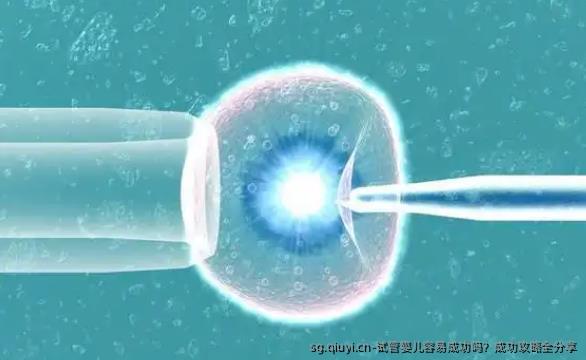 试管婴儿容易成功吗？成功攻略全分享