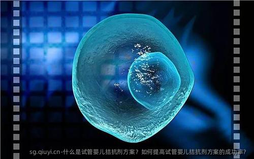 什么是试管婴儿拮抗剂方案？如何提高试管婴儿拮抗剂方案的成功率？