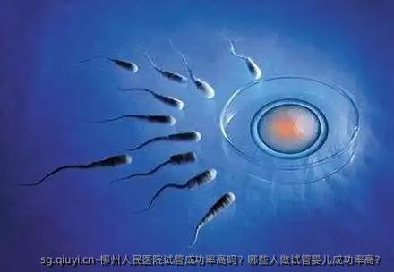 柳州人民医院试管成功率高吗？哪些人做试管婴儿成功率高？