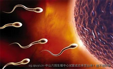 中山六院生殖中心试管成功率怎么样？能不能怀孕