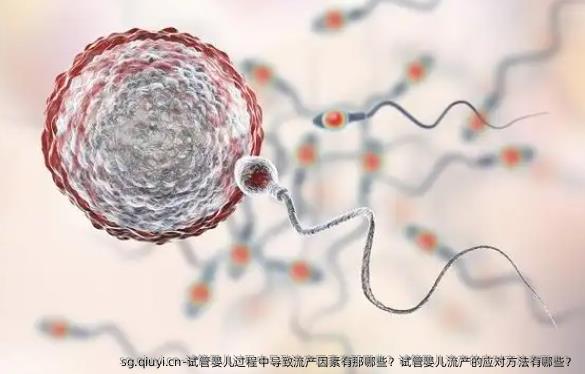 试管婴儿过程中导致流产因素有那哪些？试管婴儿流产的应对方法有哪些？